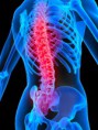 /album/fotogaleria/back-pain-scoliosis-craniosacral-therapy-jpg/